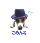 ゲンキなゲンキ（個別スタンプ：18）