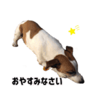 ゲンキなゲンキ（個別スタンプ：24）