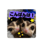 マロと愉快な仲間達（個別スタンプ：3）