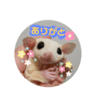 マロと愉快な仲間達（個別スタンプ：4）