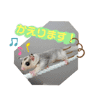 マロと愉快な仲間達（個別スタンプ：7）