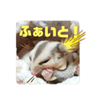 マロと愉快な仲間達（個別スタンプ：8）