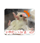 マロと愉快な仲間達（個別スタンプ：12）