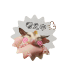 マロと愉快な仲間達（個別スタンプ：16）
