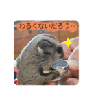 マロと愉快な仲間達（個別スタンプ：19）