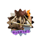 マロと愉快な仲間達（個別スタンプ：24）