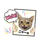 ひまにゃん7（個別スタンプ：12）