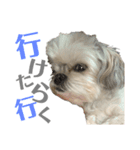 まつりたん②【関西弁】（個別スタンプ：2）