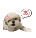 まつりたん②【関西弁】（個別スタンプ：4）