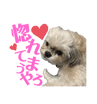 まつりたん②【関西弁】（個別スタンプ：10）
