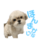 まつりたん②【関西弁】（個別スタンプ：11）