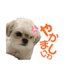 まつりたん②【関西弁】（個別スタンプ：14）