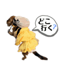 チロチロ③（個別スタンプ：5）
