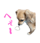 チロチロ③（個別スタンプ：11）