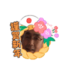 あっくんの日常パート2^o^（個別スタンプ：3）