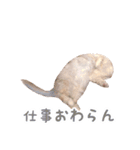 うどんのうーちゃん（個別スタンプ：13）