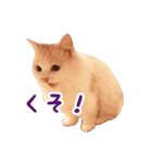 うどんのうーちゃん（個別スタンプ：18）