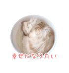 うどんのうーちゃん（個別スタンプ：27）