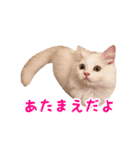 うどんのうーちゃん（個別スタンプ：32）