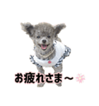 ほっこり同意のシルヴィー言葉（個別スタンプ：1）