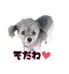 ほっこり同意のシルヴィー言葉（個別スタンプ：2）