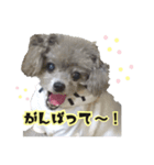 ほっこり同意のシルヴィー言葉（個別スタンプ：3）