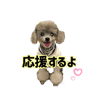 ほっこり同意のシルヴィー言葉（個別スタンプ：5）