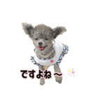 ほっこり同意のシルヴィー言葉（個別スタンプ：6）