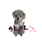 ほっこり同意のシルヴィー言葉（個別スタンプ：7）