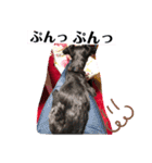 ねこちゃん犬ちゃん家族（個別スタンプ：14）