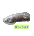 ウエスティの弥勒さん1（個別スタンプ：3）