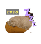 ウエスティの弥勒さん1（個別スタンプ：6）
