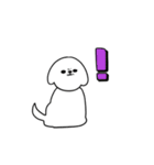 ペキシーズーのもぐ（個別スタンプ：7）