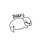 ペキシーズーのもぐ（個別スタンプ：13）