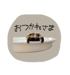 のこのこすたんぷその1（個別スタンプ：9）