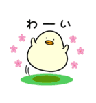 ぴよまーる 2（個別スタンプ：22）