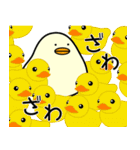 ぴよまーる 2（個別スタンプ：30）