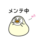 ぴよまーる 2（個別スタンプ：34）