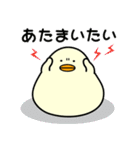 ぴよまーる 2（個別スタンプ：36）