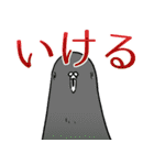 ハトが思い出になる前に（個別スタンプ：25）