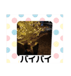 蒼昊ちゃんです。（個別スタンプ：40）