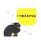 うさぎのむぎさん3（個別スタンプ：11）