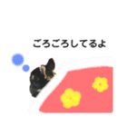 うさぎのむぎさん3（個別スタンプ：16）