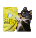 らぶりーちろる ふぁーすと（個別スタンプ：2）