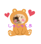シュシュとミュウミュウ。（個別スタンプ：11）
