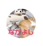 シュシュとミュウミュウ。（個別スタンプ：24）