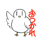 生活に寄り添ってくれるハト（個別スタンプ：1）