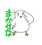 生活に寄り添ってくれるハト（個別スタンプ：3）