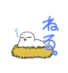 生活に寄り添ってくれるハト（個別スタンプ：12）