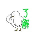 生活に寄り添ってくれるハト（個別スタンプ：13）